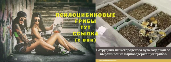 MESCALINE Краснослободск