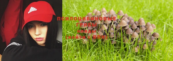 стаф Краснотурьинск