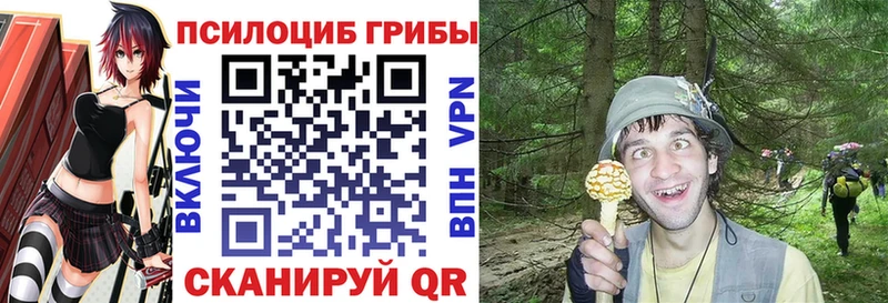 Псилоцибиновые грибы ЛСД  Купить закладки  Кохма 